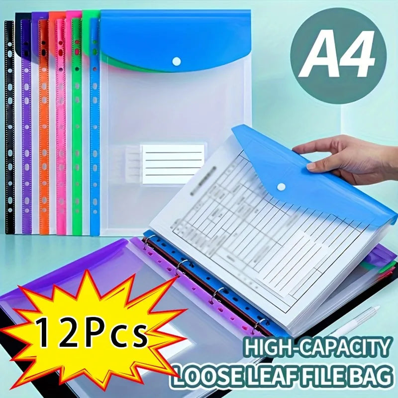File Folders and Organization